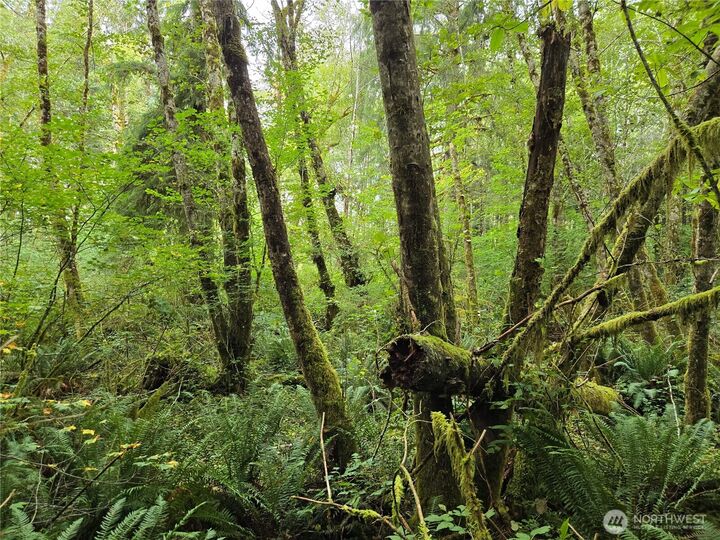 Property Photo:  0 Nka  Lund Road  WA 98537 