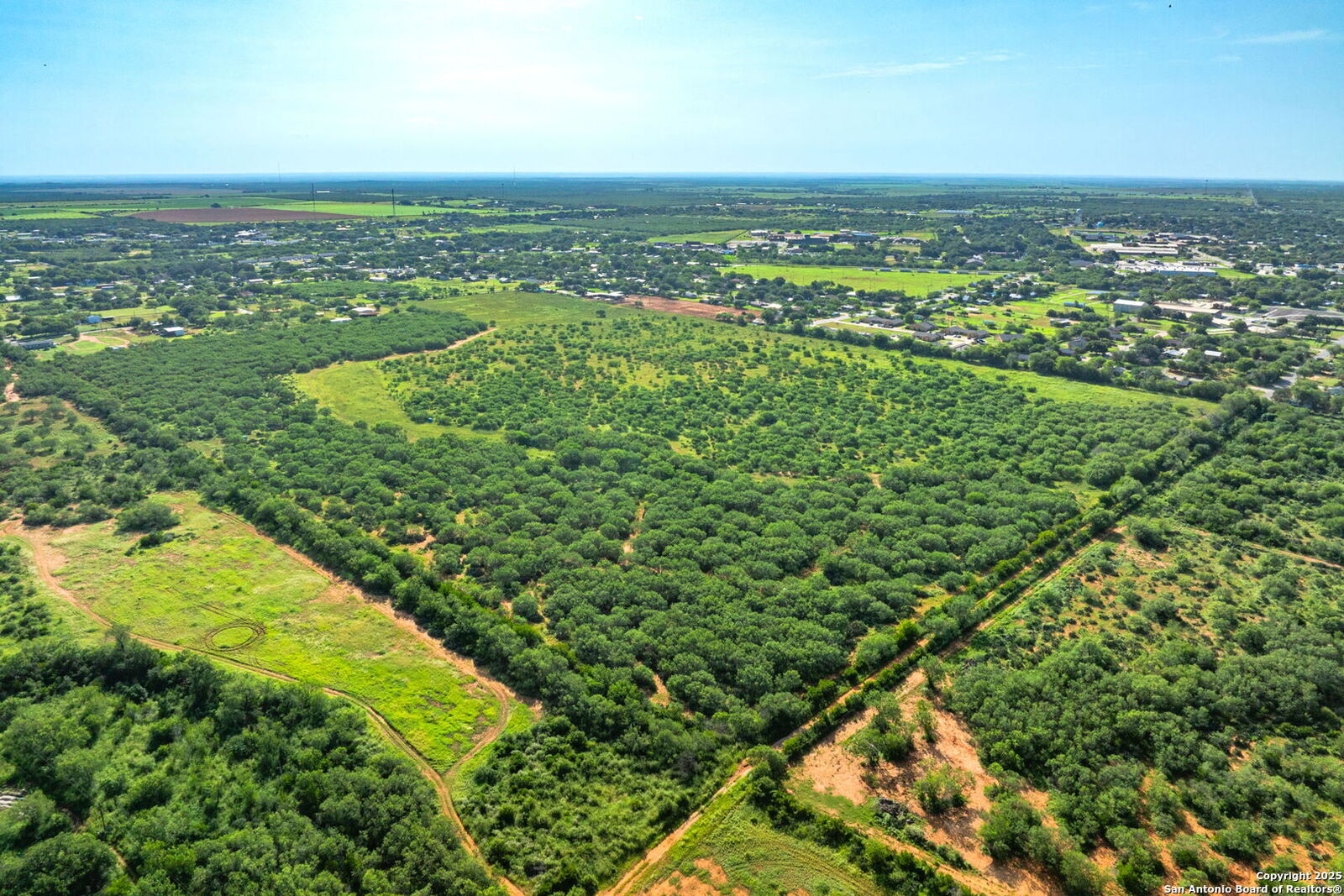 Property Photo: 3911 County Road 1000 TX 78061