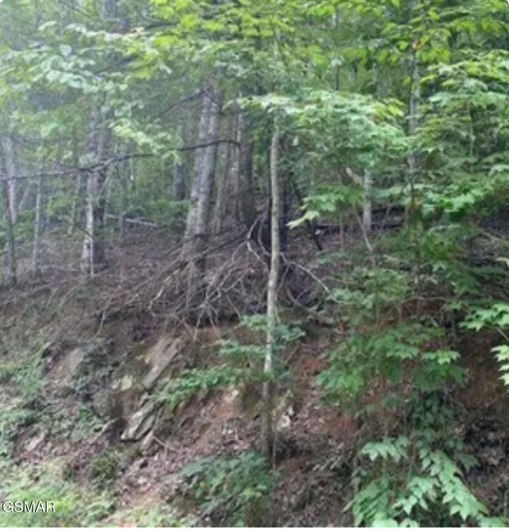 Property Photo: Lot 331 Ridgefield Drive TN 37876