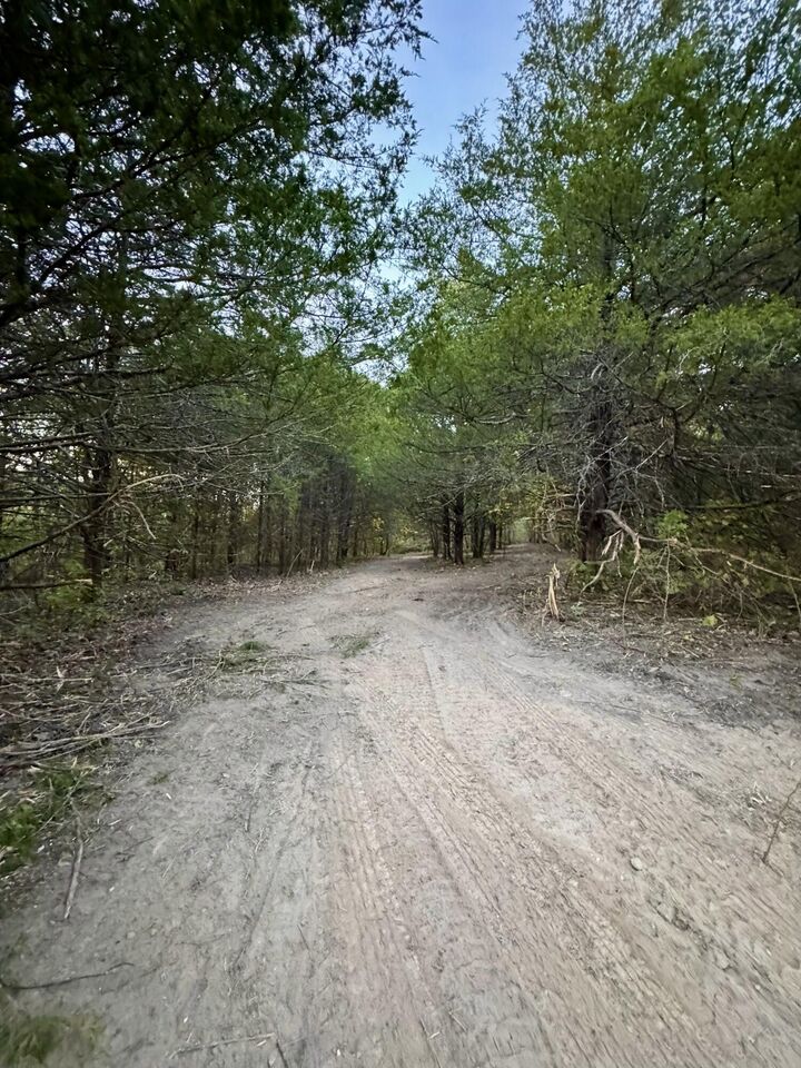 Property Photo:  000 County Road 110  MO 65704 
