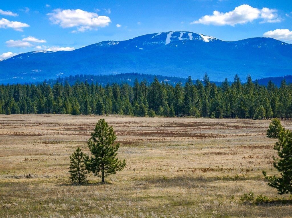 Property Photo:  Nka W Findley Ln Lot P  WA 99006 