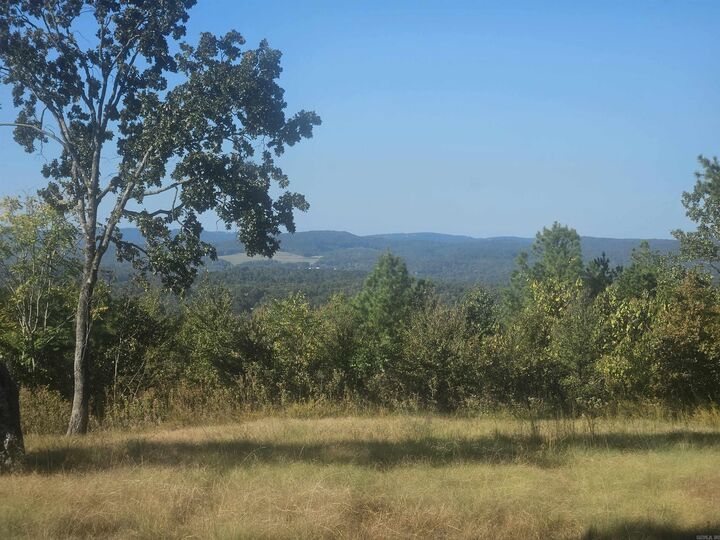 Property Photo: 000 Hartshorn AR 71913