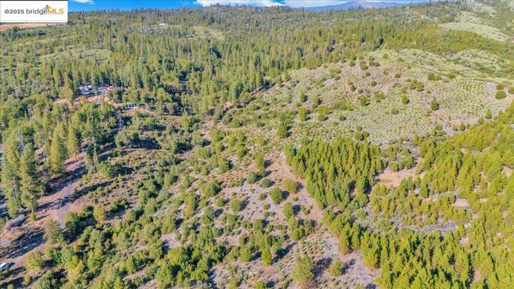 Property Photo:  0000 Jackass Creek Rd  CA 95321