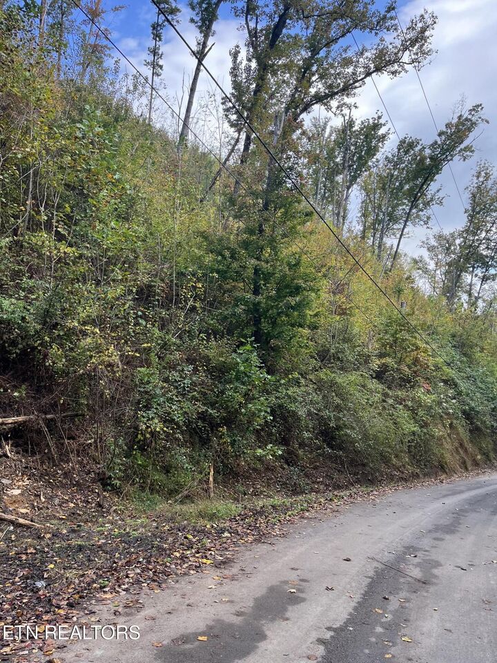 Property Photo:  Lot 529 Deep Hollow Rd  TN 37738 