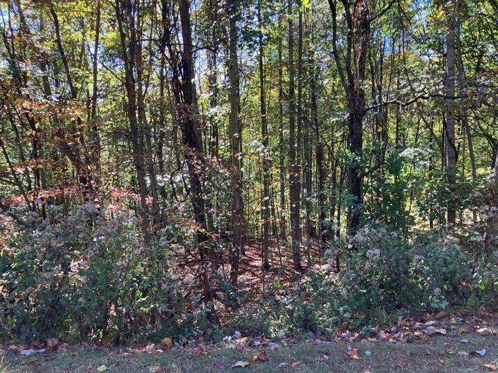 Property Photo: 28/29 Sanctuary Drive NC 28906