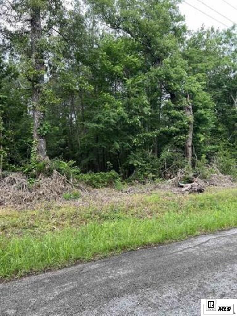 Property Photo:  Lot 3 Berry Road  LA 71435 