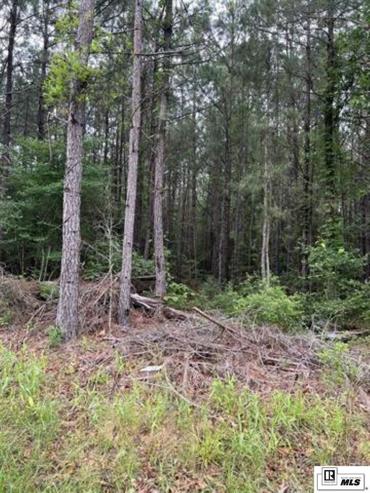 Property Photo:  Lot 2 Berry Road  LA 71435 
