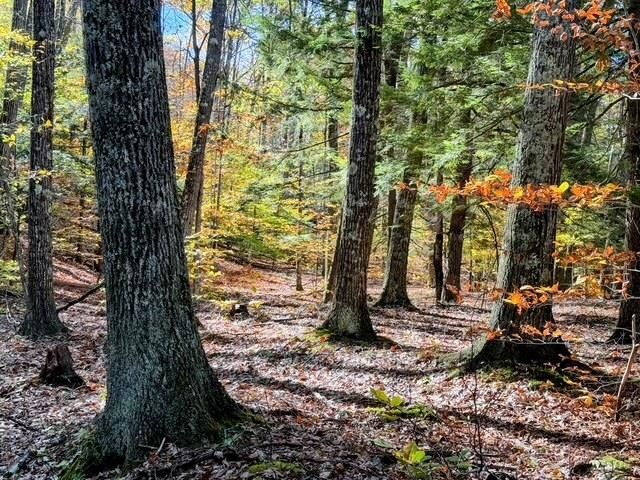 Property Photo:  29&Amp31 White Brook Road  NH 03448