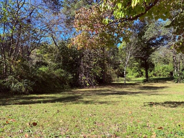713 Newman Avenue  Harrison AR 72601 photo