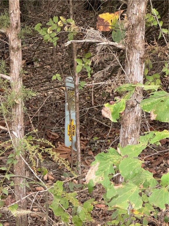 Property Photo:  County Road 990  AR 72638