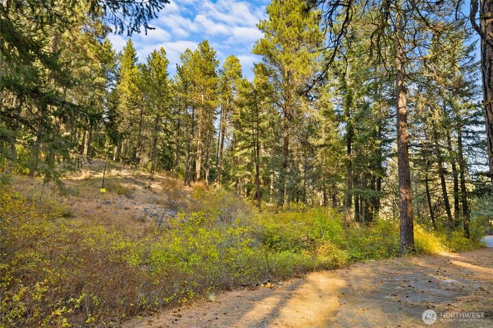 Property Photo: 15 Xx Elk Heights Road WA 98922