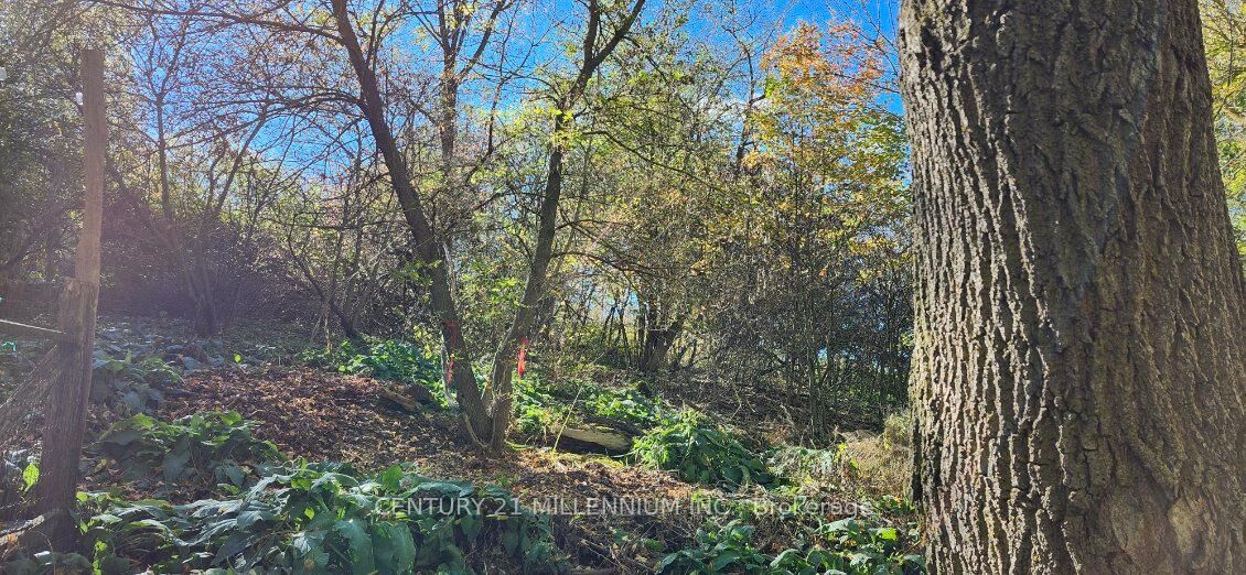 Property Photo:  Plan 4A Blk 3 Lot 10 Mill Street  ON L9W 3Z3 