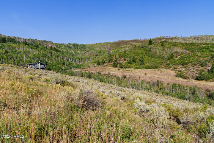 Property Photo:  534 Graham Road  CO 81632