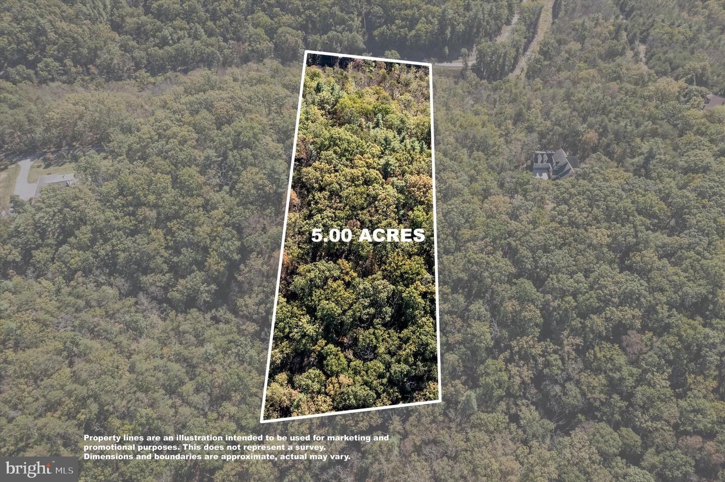 Property Photo:  Lot 12B Graystone Lane  VA 22603 