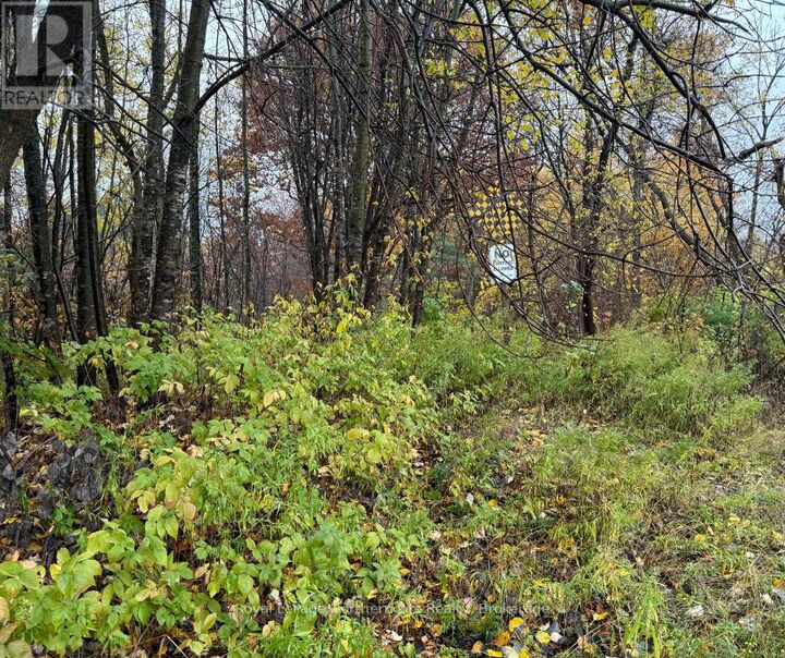 488 Duke Street West  North Bay (Central) ON P1B 6G1 photo