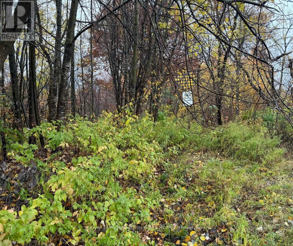 Property Photo:  488 Duke Street West  ON P1B 6G1 