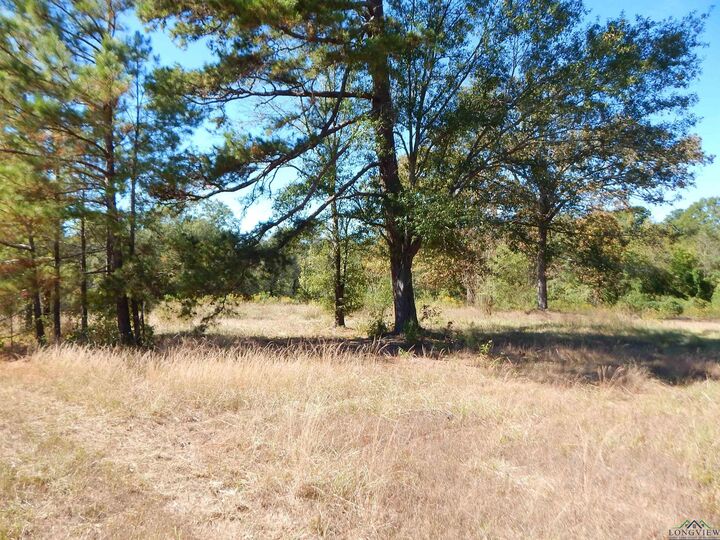 Property Photo:  Tbd 2 Acres Hwy 155  TX 75644 
