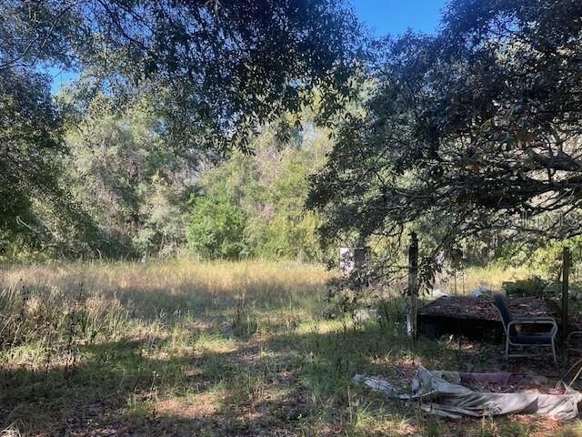 Property Photo: 11428 Tenoaks Drive FL 34669