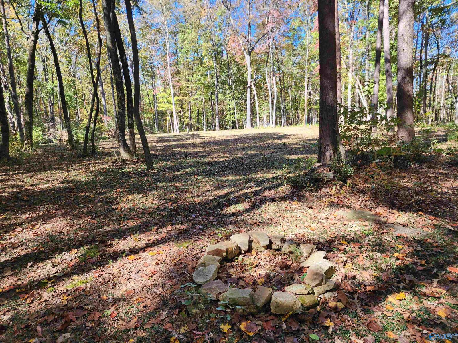 Property Photo:  522 Libby Lane  AL 35984