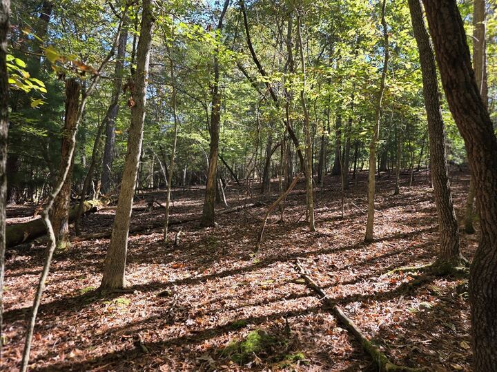 Property Photo:  Lot #385 Zenith Trail  GA 30540 