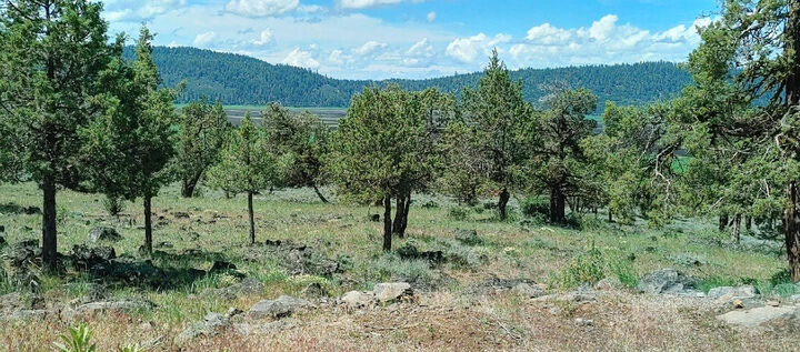 Property Photo: Fox Sparrow Drive 1118 OR 97601