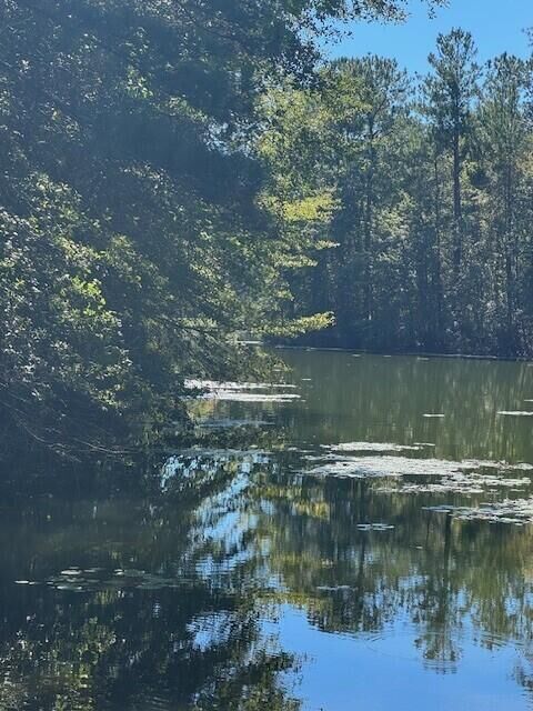 Property Photo: 0 Poplar Creek Drive Lot #30 SC 29047