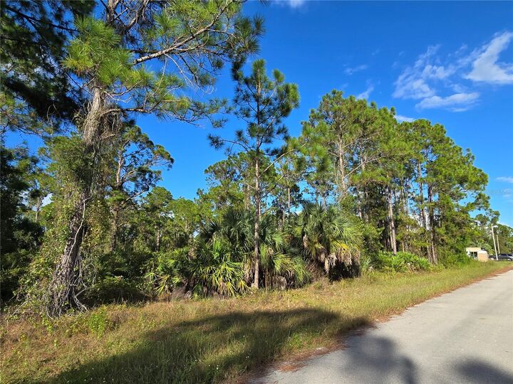 1137 Rambler Street  Lehigh Acres FL 33974 photo