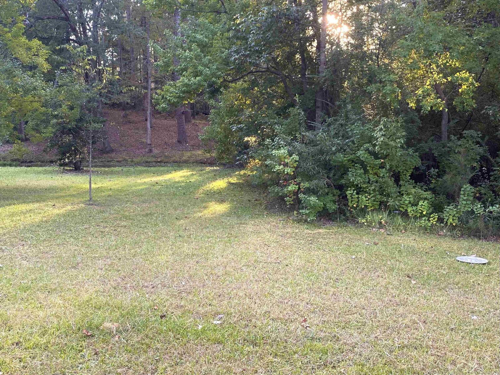 Property Photo: 1.02 Acre Lot Sharp AR 71701