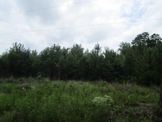 Property Photo: 7905 Morris Bing Road SC 29449