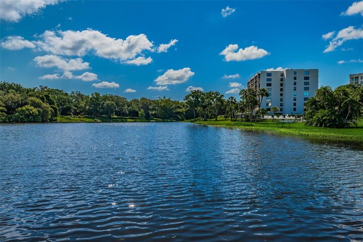 Property Photo:  220 Belleview Boulevard 305  FL 33756
