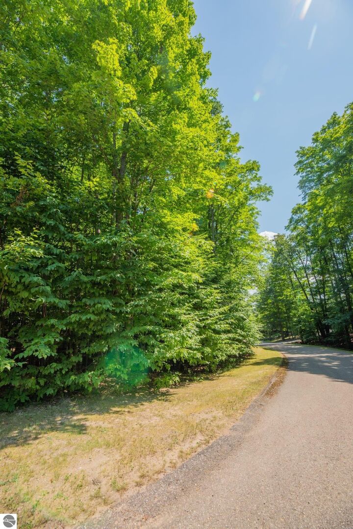 Property Photo:  Lot 165 Forest Highlands  MI 49615