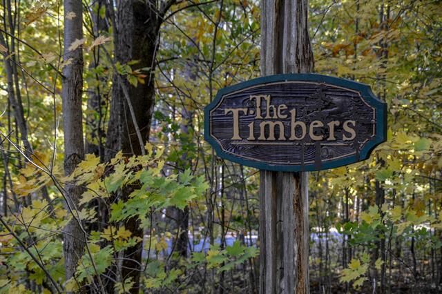 Property Photo: W Timber Lane MI 49630