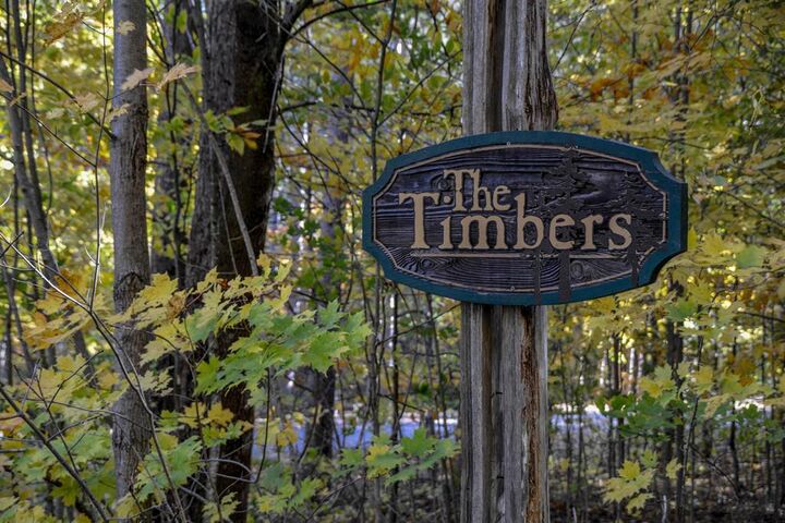 Property Photo: W Timber Lane MI 49630