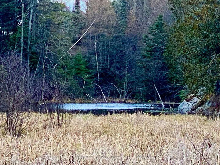 Lot 0-B Legrou'S Lake Road — photo 1