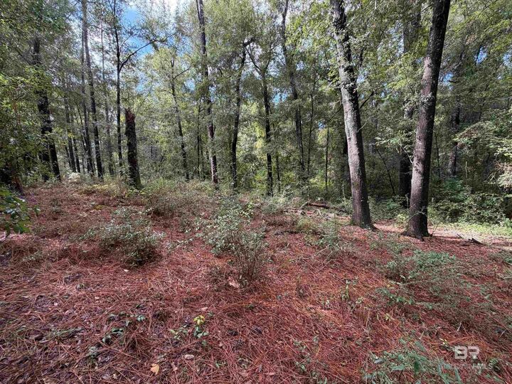 Property Photo:  0 Victorian Drive  AL 36532