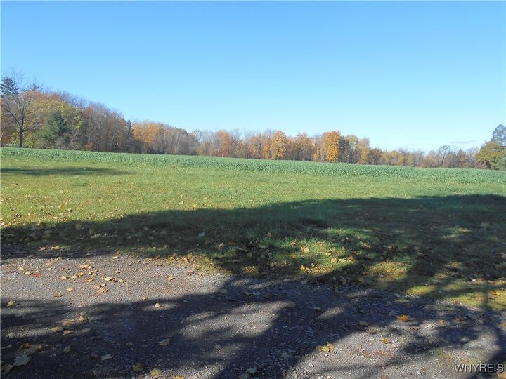 Property Photo:  Gowanda State Road  NY 14075