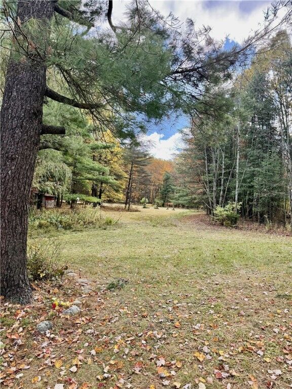 Property Photo:  181 Nelson Road  NY 14850