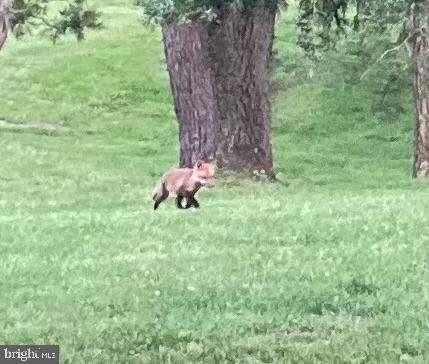 Property Photo:  698 Elk Run Estates Drive  WV 25425 