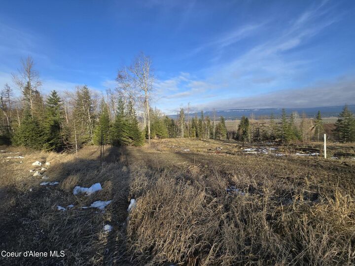 Nna West Side Rd Parcel 2  Bonners Ferry ID 83805 photo