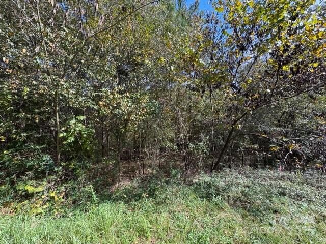 Property Photo:  0 Hoyle Street  NC 28034