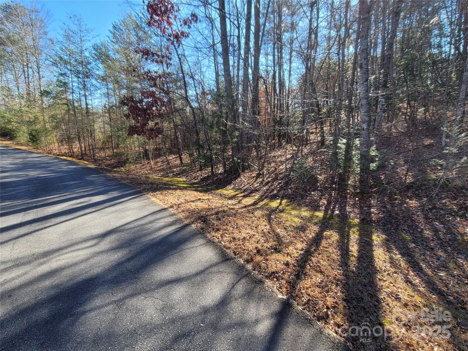 Property Photo:  0 McOwenben Pass 18  NC 28746 