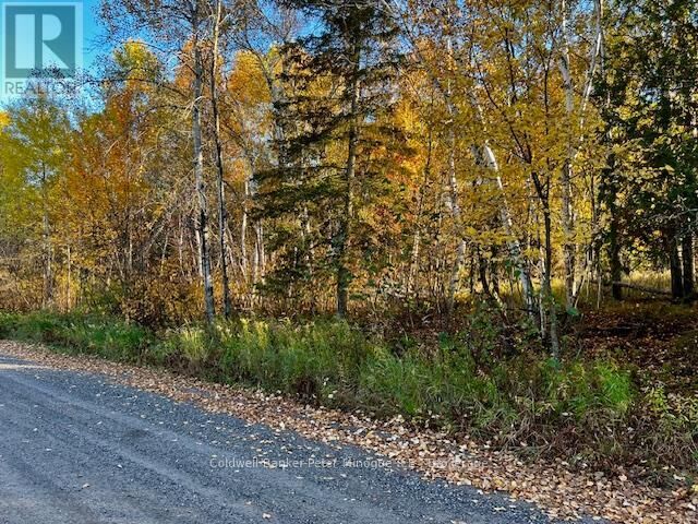 Property Photo:  Lot 16 Seymour Street  ON P1B 8Z4 