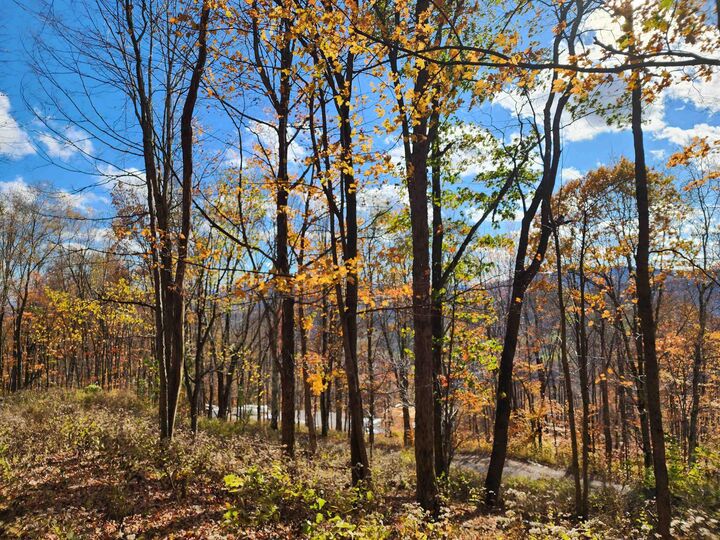 Property Photo:  20 E Meadows Road  WV 26270