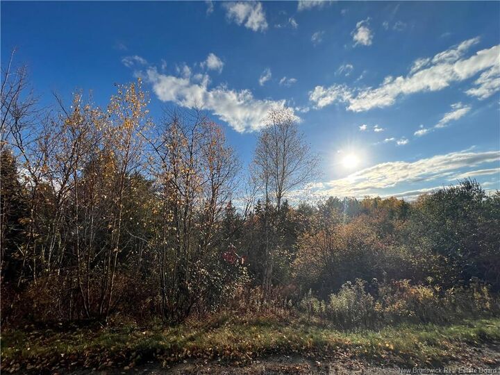 Property Photo: 73-17 Tavener Terrace NB E4E 3X2