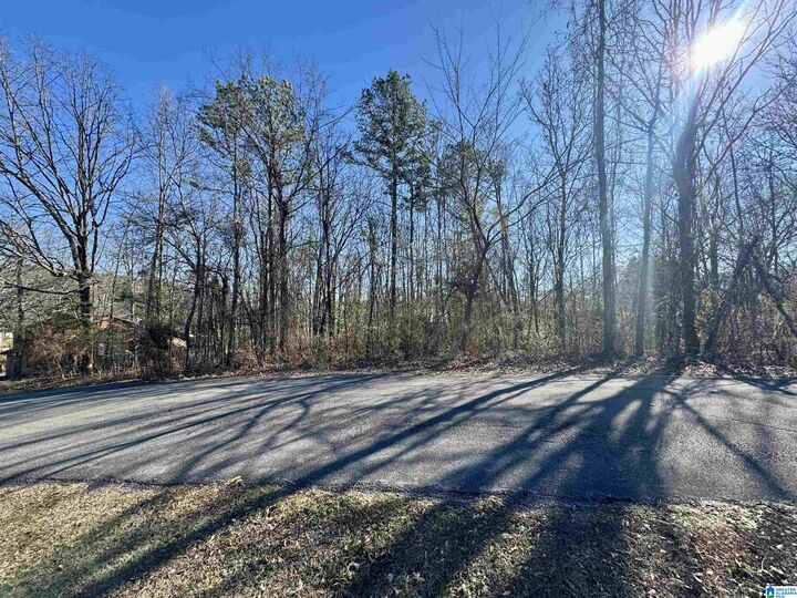 Property Photo:  0 Silver Circle 5  AL 36265 