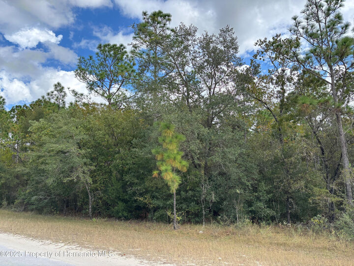 Property Photo:  Lot 19 Canyon Swallow Road  FL 34614 