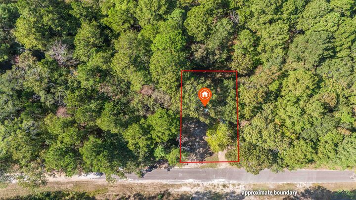 Property Photo: 355 Redbud TX 75651