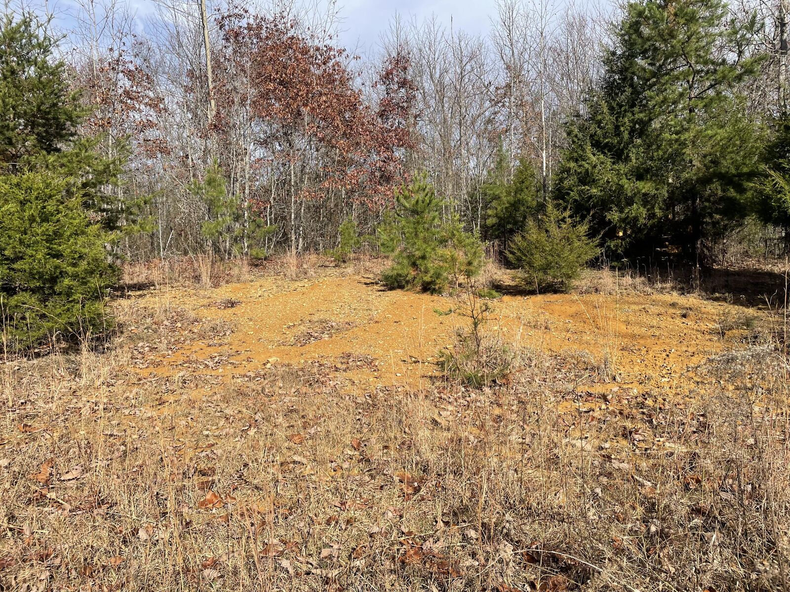 Property Photo:  1407 Denton Phelps Road  KY 42501 