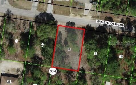 Property Photo:  896 W Hemlock Drive  FL 34434 