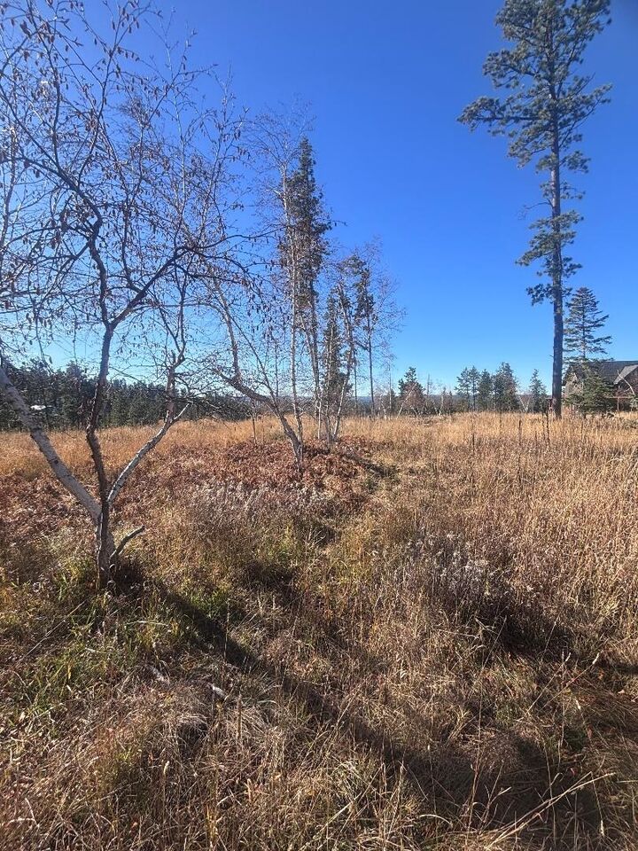 Property Photo: Lot 19 Block 10 Antelope Trail SD 57754